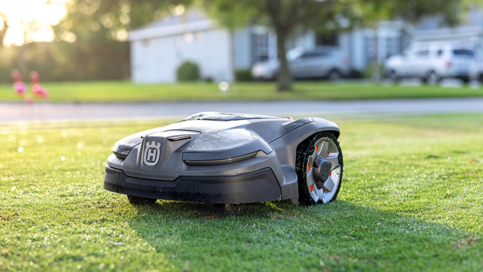 Mähroboter mäht einen Rasen